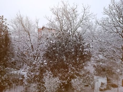 Az első hó 2018 decemberében, a Rábl közben, Mosonmagyaróvár