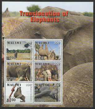 Elefántok áttelepítése