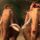 Ice_age__3_dawn_of_the_dinosaurs_movie_2_285104_11030_t