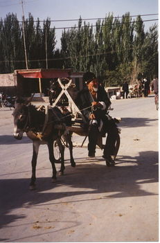 ujgurok