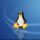 Linux2_287387_87708_t