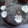 Mammillaria-001_287847_95807_t