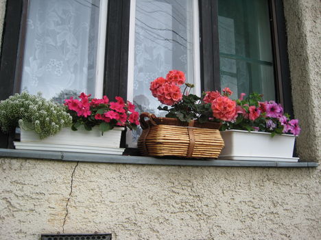 Virágok az ablakban