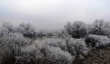 A Szigeti Duna-ág téli díszben, Dunakiliti 2019. január 22.-én 1