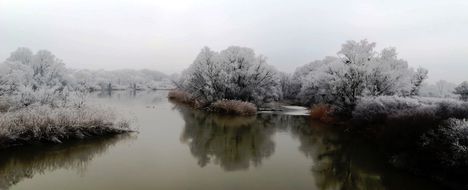 A Szigeti Duna-ág téli díszben, Dunakiliti 2019. január 22.-én 3