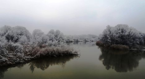 A Szigeti Duna-ág téli díszben, Dunakiliti 2019. január 22.-én 5