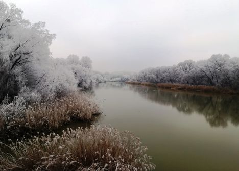 A Szigeti Duna-ág téli díszben, Dunakiliti 2019. január 22.-én 7