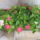 Kepek_20090405_160_288518_49336_t