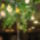Kepek_20090405_193-001_288524_63595_t