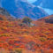 Patagónia