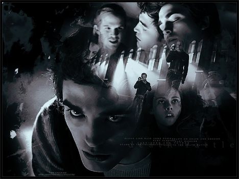 Twilight-twilight-movie-5584870-1024-768
