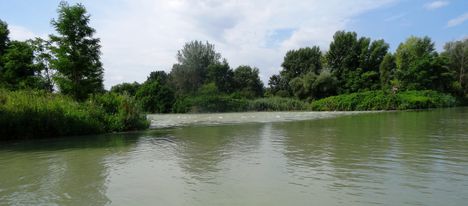 Benda töltőbukó a Duna folyam főmedre felől, Dunakiliti 2016 július 13.-án 4