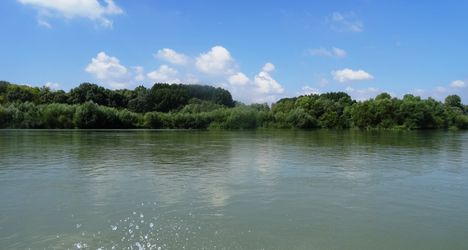 Duna folyam főmeder Rajka térségében, 2016. augusztus 28.-án 3