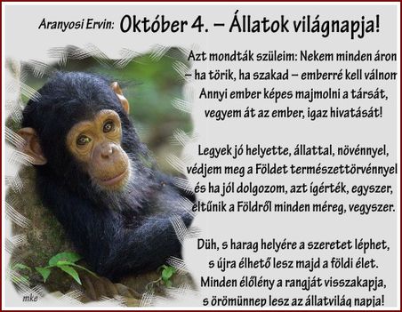Október 4. – Állatok világnapja!
