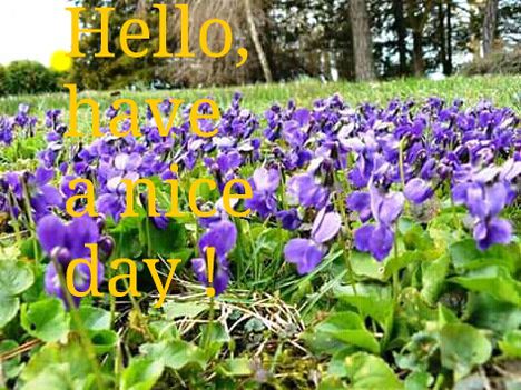 Have a nice day !