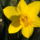 040-042_2092719_2707_t