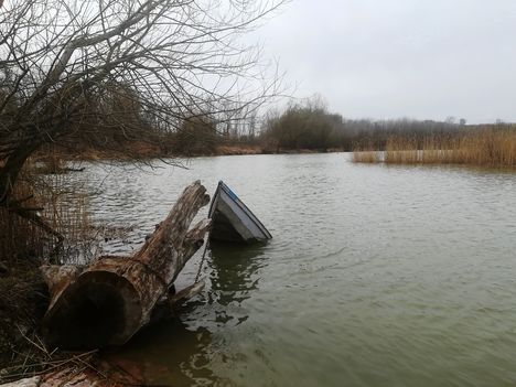 Denkpáli ágvéglezárás felvize, Dunasziget 2019. március 18.-án