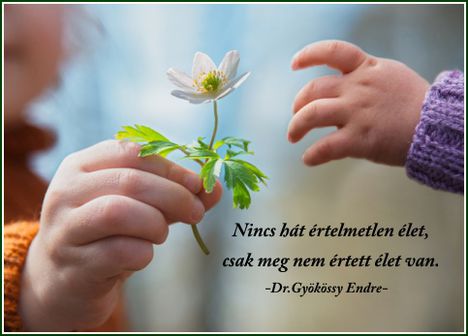 -Dr.Gyökössy Endre-