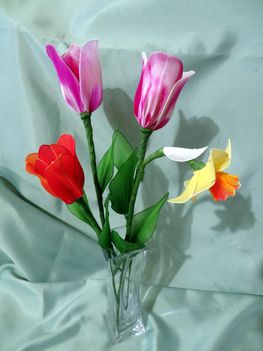 Holland tulipán nárcisszal