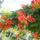 Kedvenceim_4_292368_45685_t