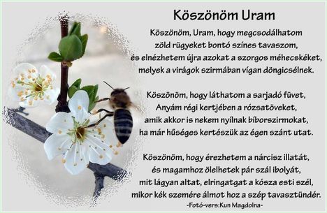 Köszönöm Uram