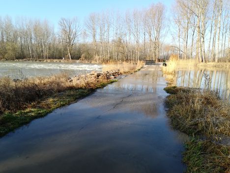 A Kőhidi átjáró árvízi bukója, Dunasziget 2019. március 21.-én 3