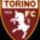 Torino_fc_294389_42468_t