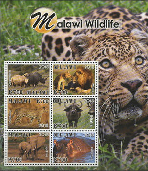 Malawi fauna