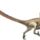 Velociraptor_2095698_4635_t