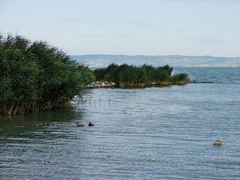 Balaton-Vegyes képek-Hajni 9