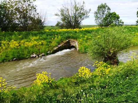 Lajta (Leitha) folyó a Nickelsdorfi osztóműnél 2019. május 10.-én 1