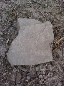 kőforma
