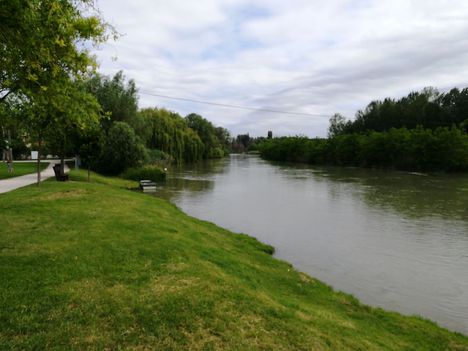 Mosoni-Duna folyó a Mosoni strandnál, Mosonmagyaróvár 2019. június 08.-án 4