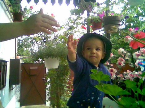 Kép003 az ikrek kisfiuja is szereti a virágokat