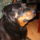 Lady_profilkepe_299029_32789_t