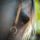 Lofej-001_2099288_2368_t