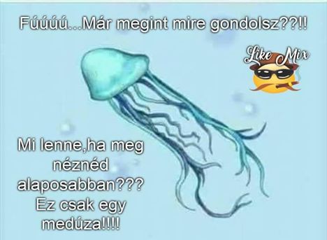 Mire gondolsz!