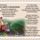 Nincs_miert_csuggednem-001_2099654_8043_t