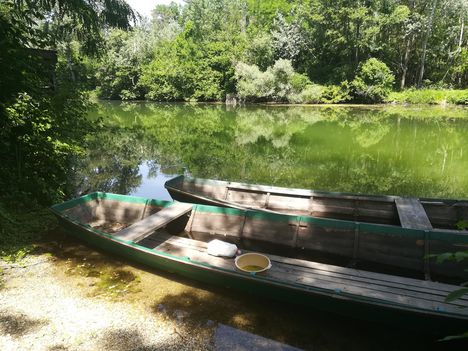 Schiszler tó a Duna folyam hullámterén Sérfenyőszigetnél, Dunasziget 2019.  június 29.-én 2