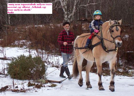3-yr-old-Julia-and-Sonny-bringing-home-the-Christmas-tree