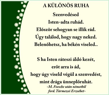 A KÜLÖNÖS RUHA