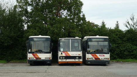 ikarus buszok 3 három