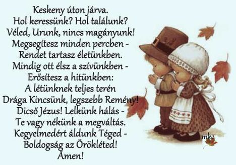 Keskeny úton járva