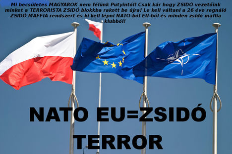 NATO EU