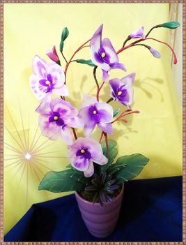 orchidea lilában