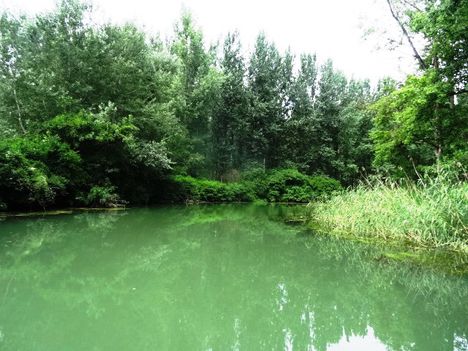 Sebes csatorna Szigetközi hullámtéri vízpótlórendszerben, Kisbodak 2016. július 14.-én 1