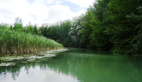 Sebes csatorna Szigetközi hullámtéri vízpótlórendszerben, Kisbodak 2016. július 14.-én 5