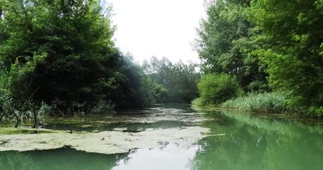 Sebes csatorna Szigetközi hullámtéri vízpótlórendszerben, Kisbodak 2016. július 14.-én 6