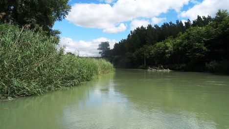 Szürke-Duna a Lipót-Ásványi mellékágrendszerben, Lipót 2016. július 13.-án 1