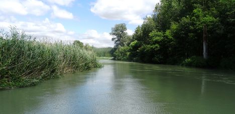 Szürke-Duna a Lipót-Ásványi mellékágrendszerben, Lipót 2016. július 13.-án 3